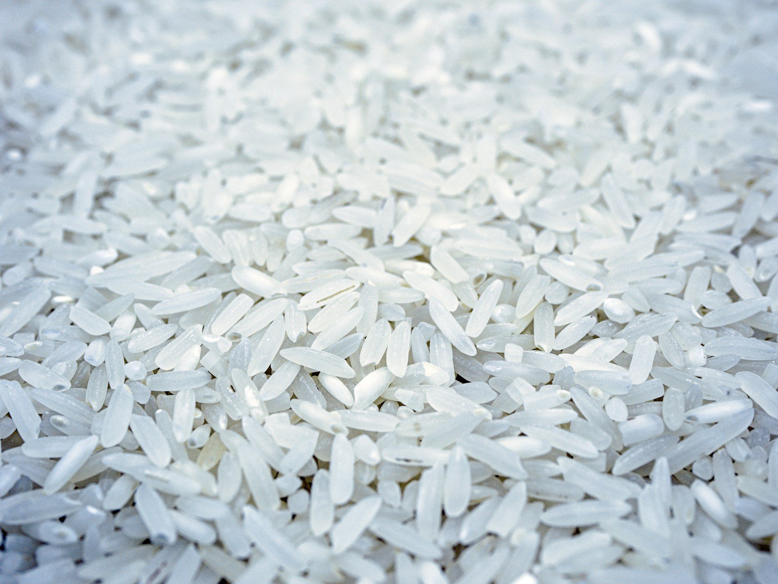 a pile of white cotton - qué es el arroz